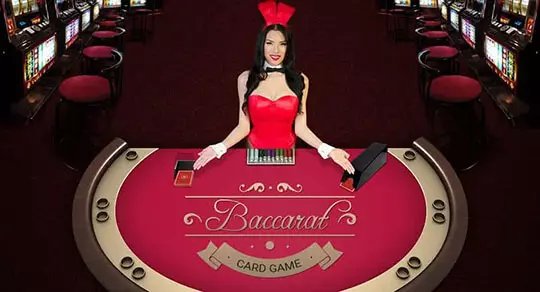 taya 366 casino login